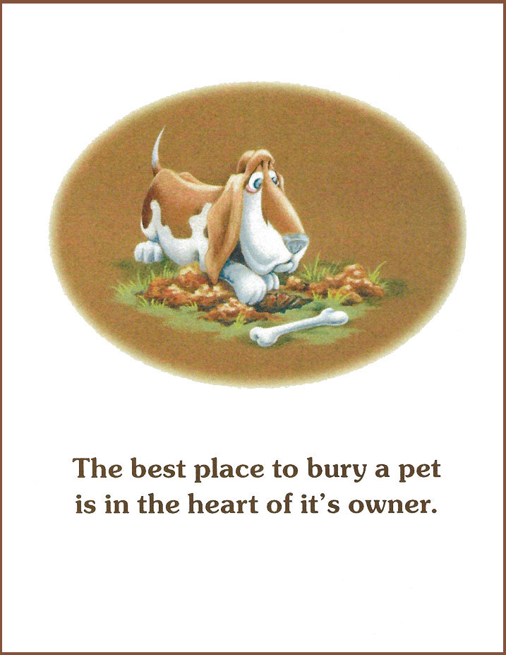 Best place - dog