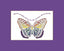 Rainbow Butterfly Print