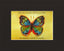 Vibrant Butterfly Print