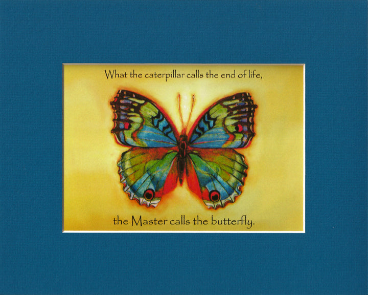 Vibrant Butterfly Print