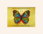 Vibrant Butterfly Print