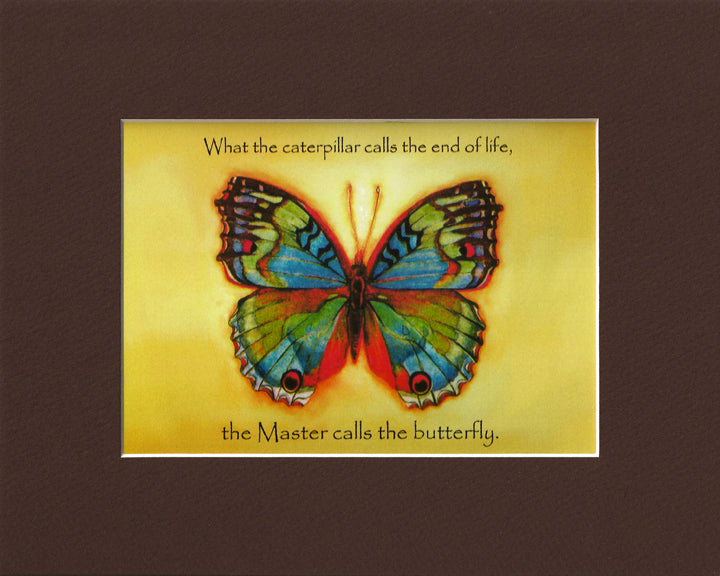 Vibrant Butterfly Print
