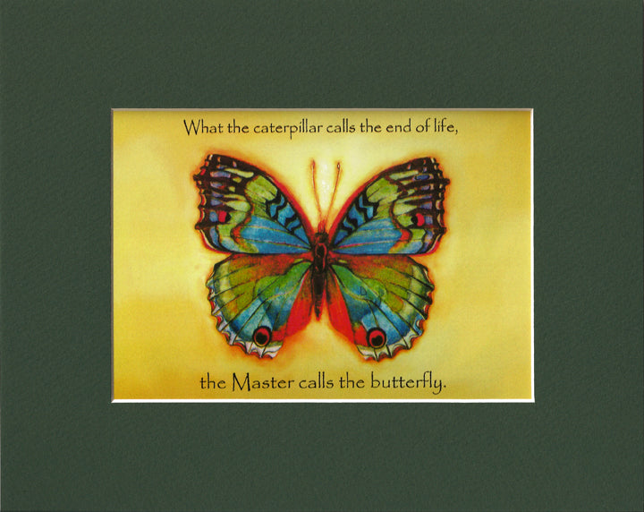 Butterfly Plaque