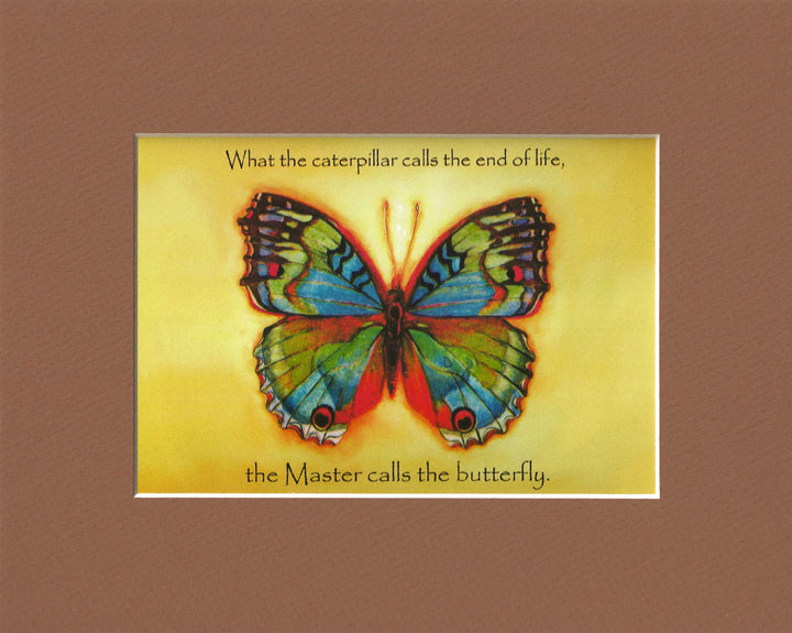 Vibrant Butterfly Print