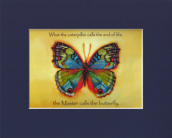 Vibrant Butterfly Print
