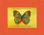 Vibrant Butterfly Print