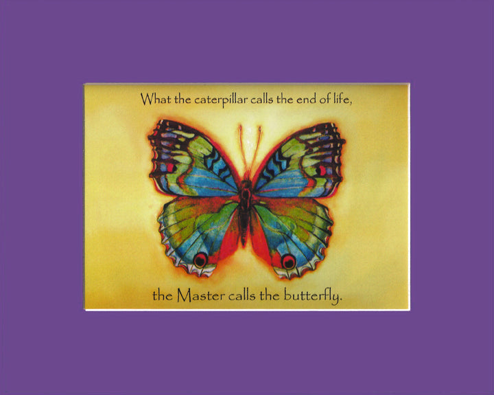 Vibrant Butterfly Print