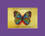 Vibrant Butterfly Print