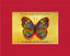 Vibrant Butterfly Print