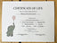 Personalized Certificate of Life (Elephant)