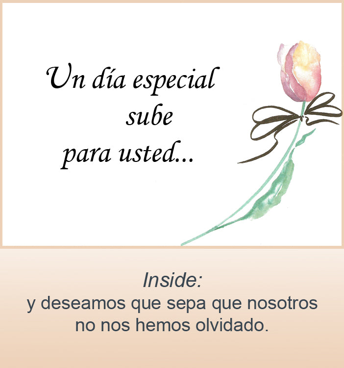 Spanish Cards