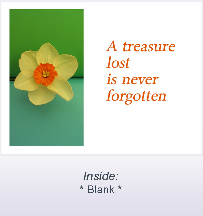 A treasure lost