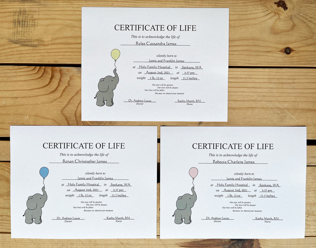 Blank Certificate of Life (Elephant)