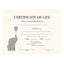 Blank Certificate of Life (Elephant)