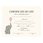 Blank Certificate of Life (Elephant)