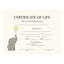 Blank Certificate of Life (Elephant)