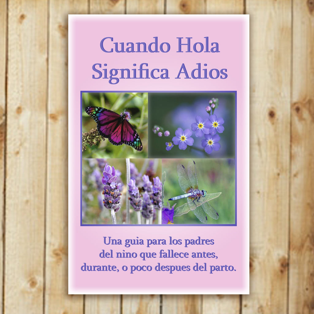 When Hello Means Goodbye book