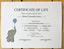 Blank Certificate of Life (Elephant)