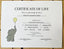 Blank Certificate of Life (Elephant)