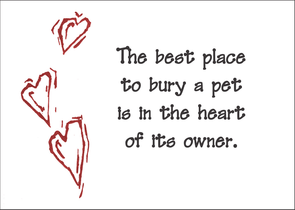 Best place - all pets