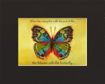 Vibrant Butterfly Print