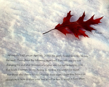 Heart Works, A Father's Grief (Clearance)