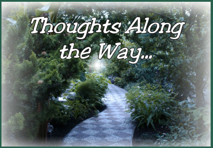 Thoughts Along the Way...
