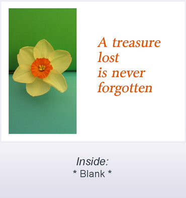 A treasure lost